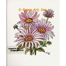 Asters  - #TOR2031  -  PRINT