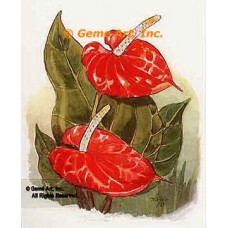 Anthurium  - #TORT283  -  PRINT