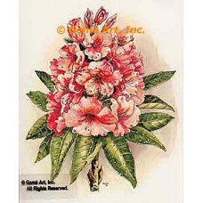 Rhododendron  - #TOR5012  -  PRINT