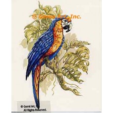 Parrots  - #TOR5033  -  PRINT