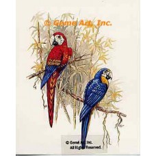 Birds  - TOR5034  -  PRINT