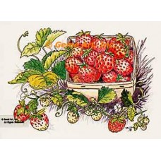 Strawberries In Basket  - TOR5039  -  PRINT