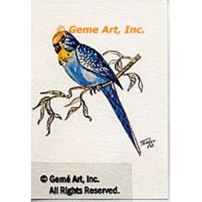 Bird  - #TOR5043  -  PRINT
