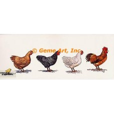 Chickens  - #TOR5068  -  PRINT