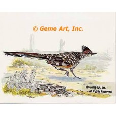 Roadrunner  - TOR5092  -  PRINT