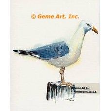Seagull  - #TOR5133  -  PRINT
