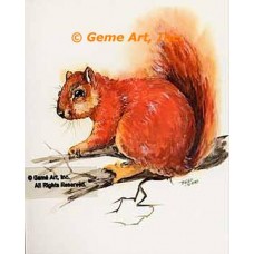 Squirrel  - #TOR5135  -  PRINT