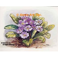 Primrose  - #TOR5167  -  PRINT