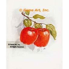 Apples  - #TOR5172  -  PRINT