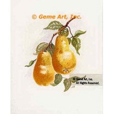 Pears  - #TOR5175  -  PRINT