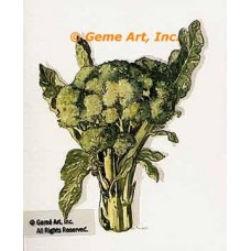 Brocolli  - #TOR5182  -  PRINT
