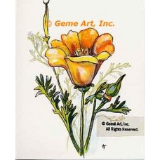 California Poppies  - #TOR5206  -  PRINT