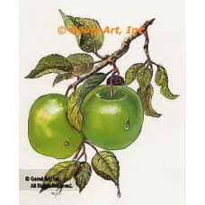 TG5234K  Paper Tole Kit  4x5