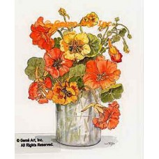 Nasturtiums In Vase  - #TOR5237  -  PRINT