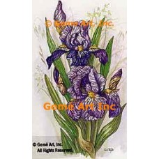 Purple White Iris  - TOR5241  -  PRINT