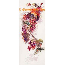 Grapes  - #TOR5249  -  PRINT