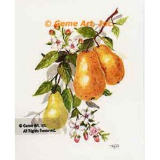 Pears  - #TOR5252  -  PRINT