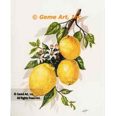 Lemons  - TOR5253  -  PRINT