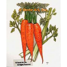 Carrots & Celery  - #TOR5261  -  PRINT