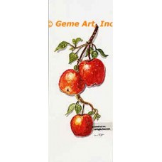 Apples  - #TOR5288  -  PRINT