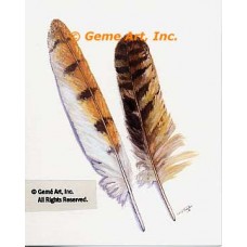Owl Feather  - #TOR5300  -  PRINT
