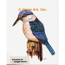 Kingfisher  - #TOR5304  -  PRINT