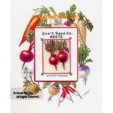 Sue's Seed Co. Beets  - #TOR5334  -  PRINT