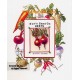 Sue's Seed Co. Beets  - #TOR5334  -  PRINT
