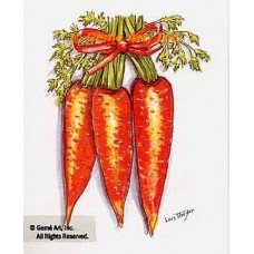 Carrots  - #TOR5337  -  PRINT