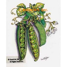 Peas  - #TOR5339  -  PRINT
