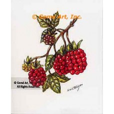 Raspberries  - #TOR5343  -  PRINT