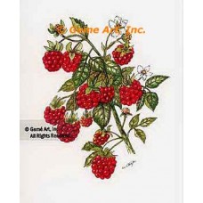 Raspberries  - #TOR5344  -  PRINT