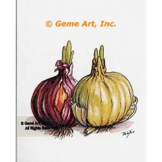 Onions  - #TOR5360  -  PRINT
