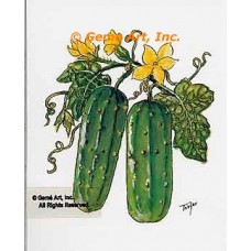 Cucumbers  - #TOR5361  -  PRINT