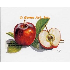 Apples  - #TOR5368  -  PRINT