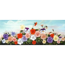 Pansies  - #XM445  -  PRINT
