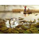 Bass Country  - XBSP404  -  PRINT