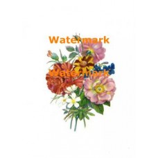 Flowers  - XD244  -  PRINT