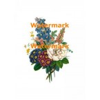 Flowers  - #XD245  -  PRINT