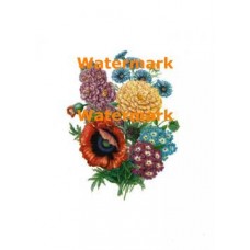 Flowers  - XD247  -  PRINT