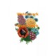 Flowers  - XD247  -  PRINT