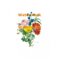 Flowers  - XD249  -  PRINT