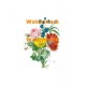 Flowers  - XD249  -  PRINT