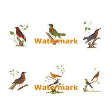 Birds 6 Up  - XBBI-20(802)  -  PRINT