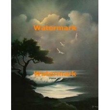Evening Song  - XRA845  -  PRINT