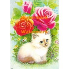 Roses  - #XBAN240  -  PRINT