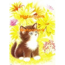 Daisies  - XBAN242  -  PRINT