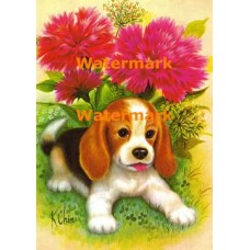 Pup  - XBAN244  -  PRINT