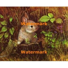 Rabbit  - XBAN309  -  PRINT