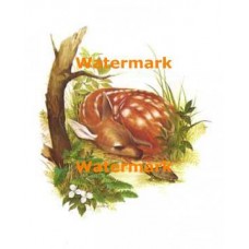 Deer & Turtle  - XBAN373  -  PRINT